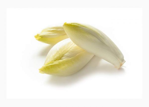 Endive